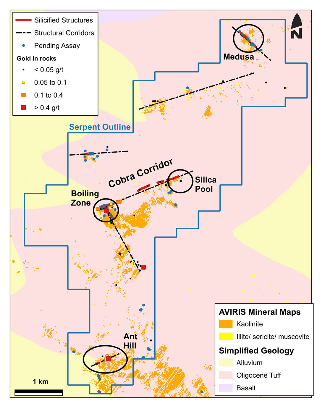 Figure 2: Mineralogy, main structural trends and gold geochemistry of Serpent.
