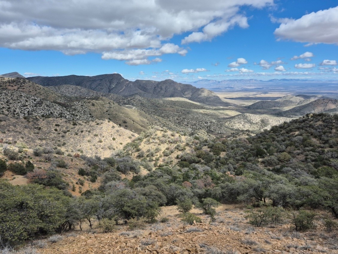 Two Peaks Image